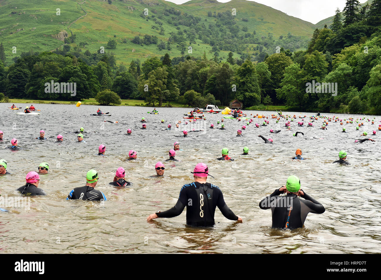 Nager en eau libre Ullswater, Lake District UK Banque D'Images