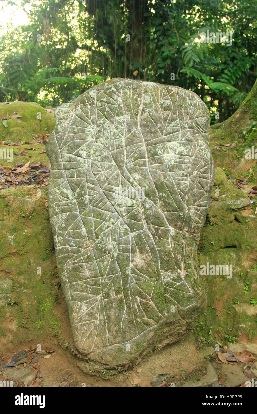 Carte Ciudad Perdida, Colombie Banque D'Images