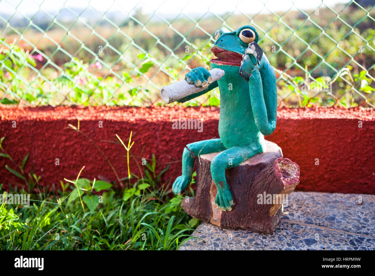 Grenouille de fumer Banque D'Images