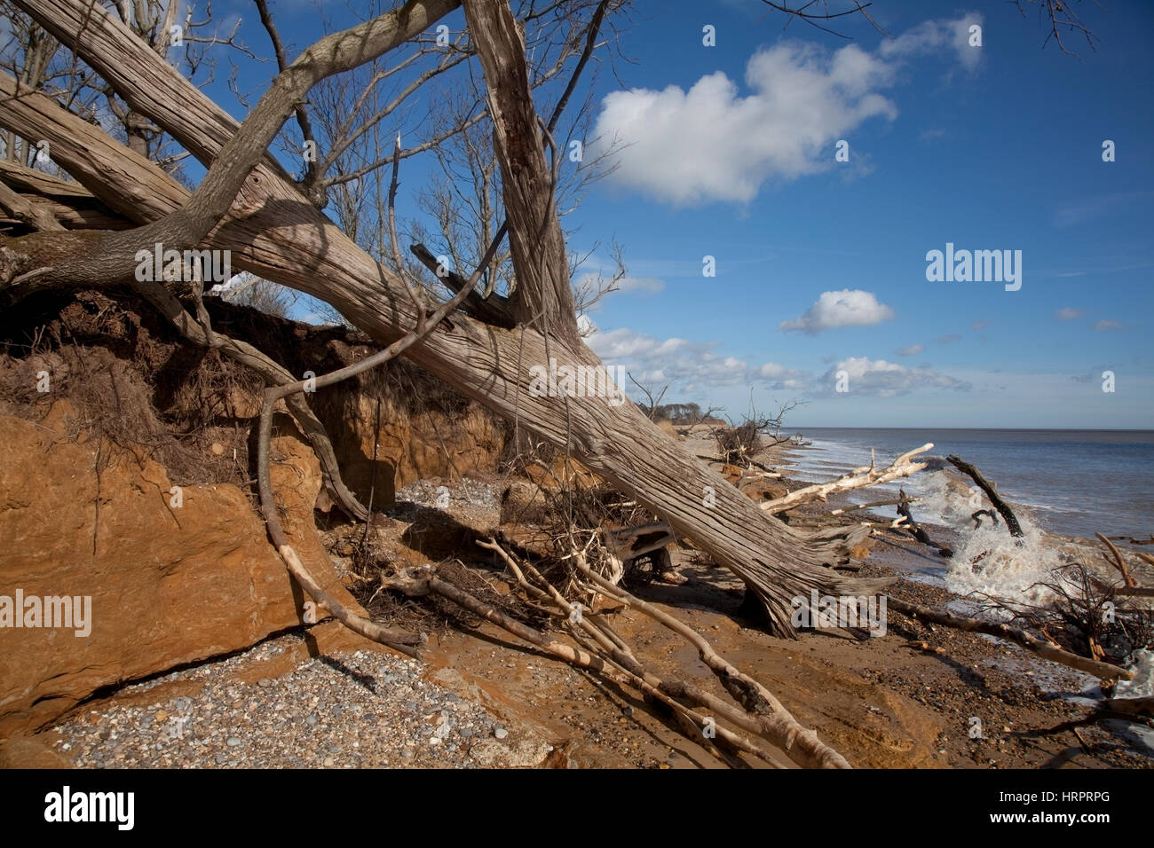 Benacre Beach Suffolk Angleterre Banque D'Images