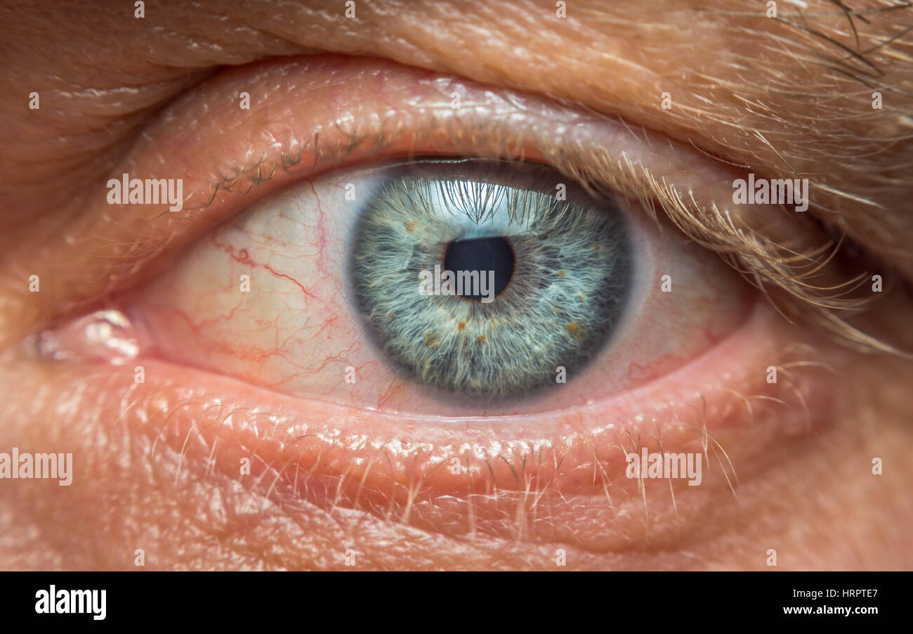 Un portrait d'un oeil d'un homme regardant droit dans la caméra. Banque D'Images