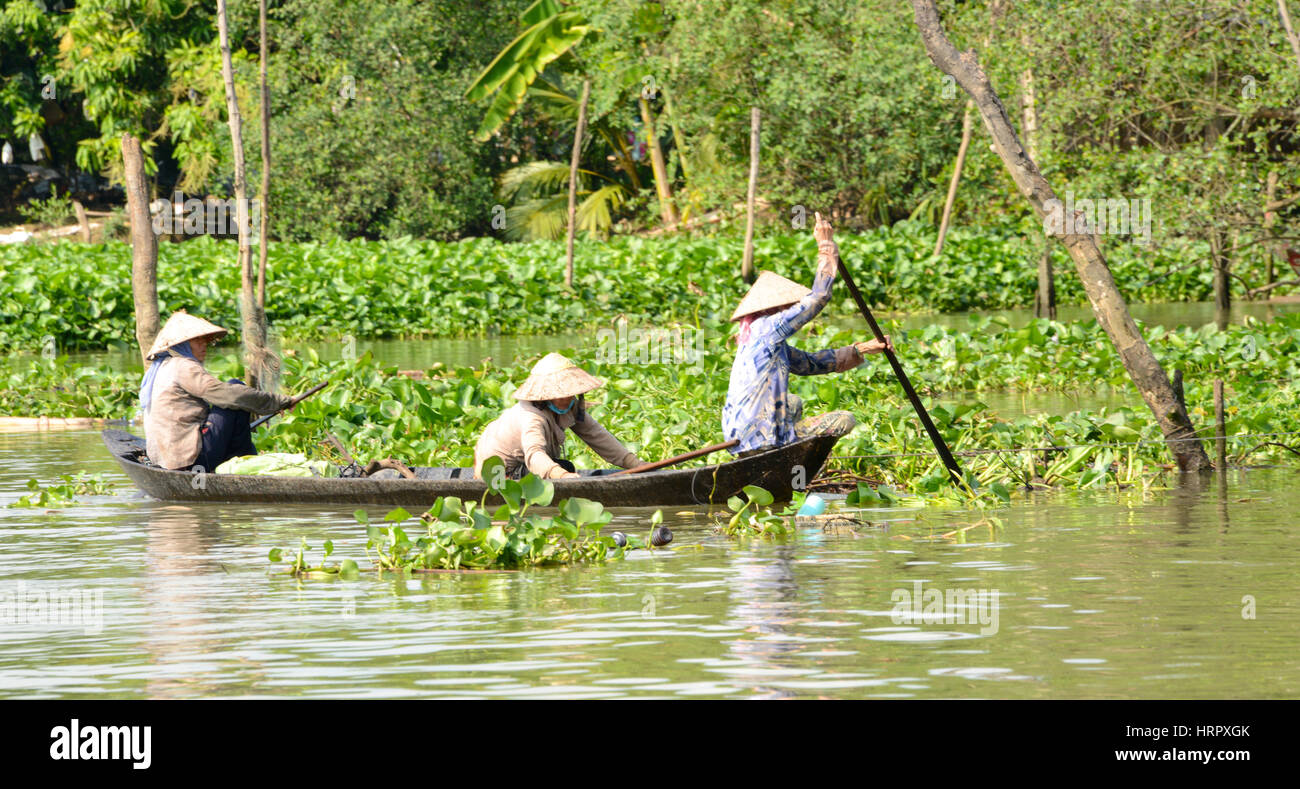 La réduction de l'eau pourrie, Vietnam, Mékong Banque D'Images