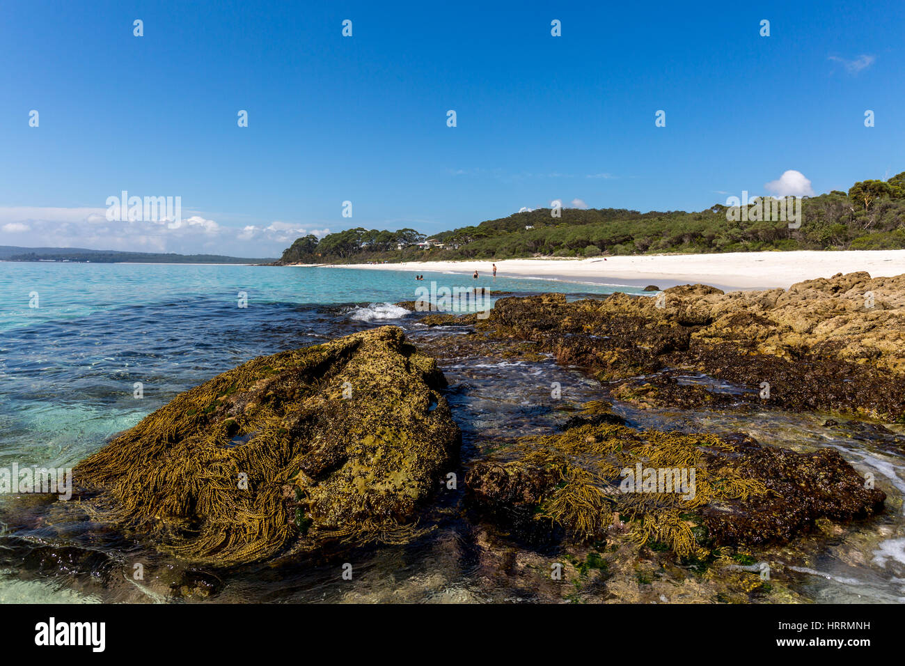 Chinamans beach, superbe plage de sable blanc à Jervis bay, Nouvelle-Galles du Sud, Australie Banque D'Images