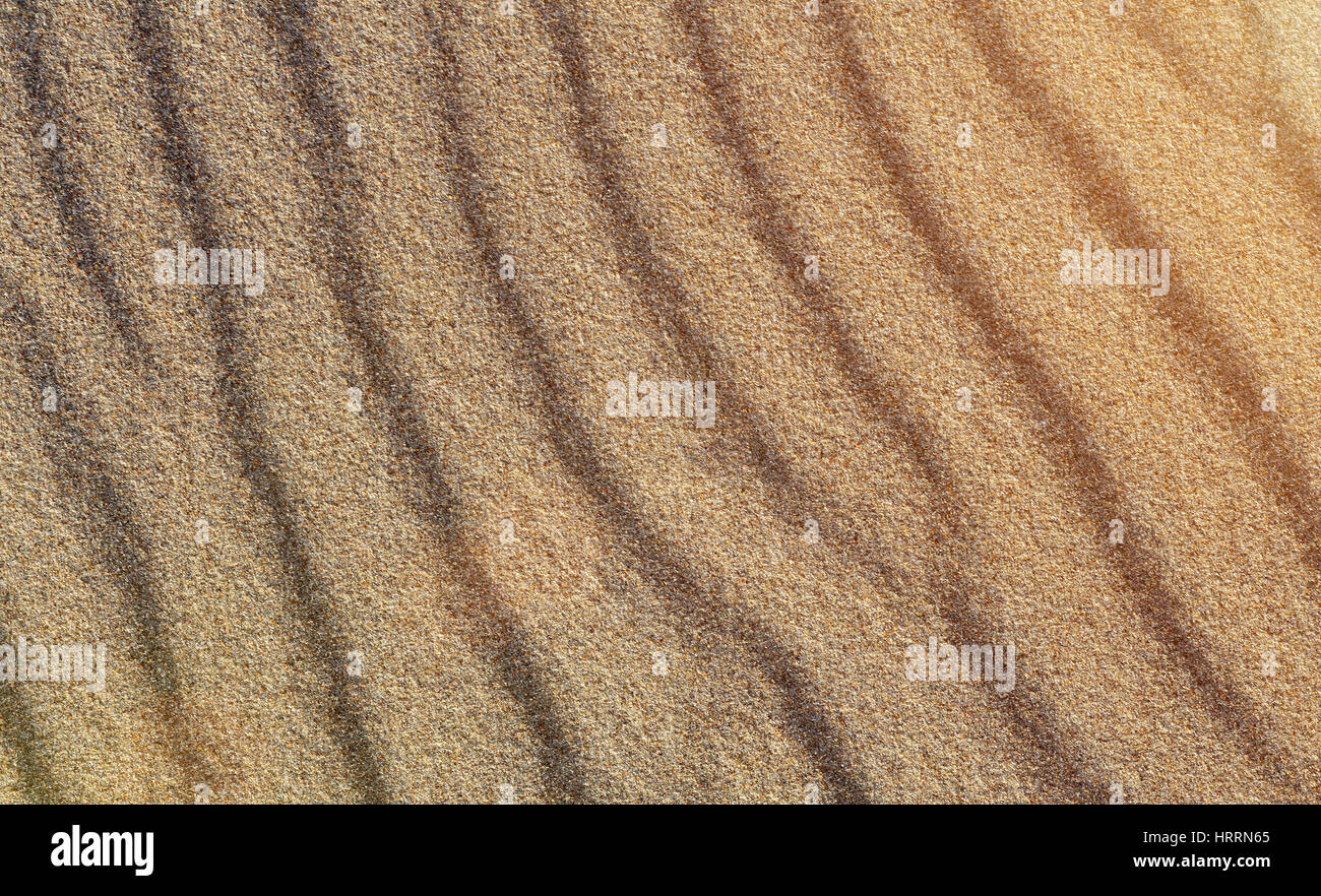 La texture du sable jaune. Le sable de la plage des modèles dans la lumière du soleil chaude soirée. Les lignes droites de sable sur la plage. Close up de sable. Arrière-plan de sable Banque D'Images