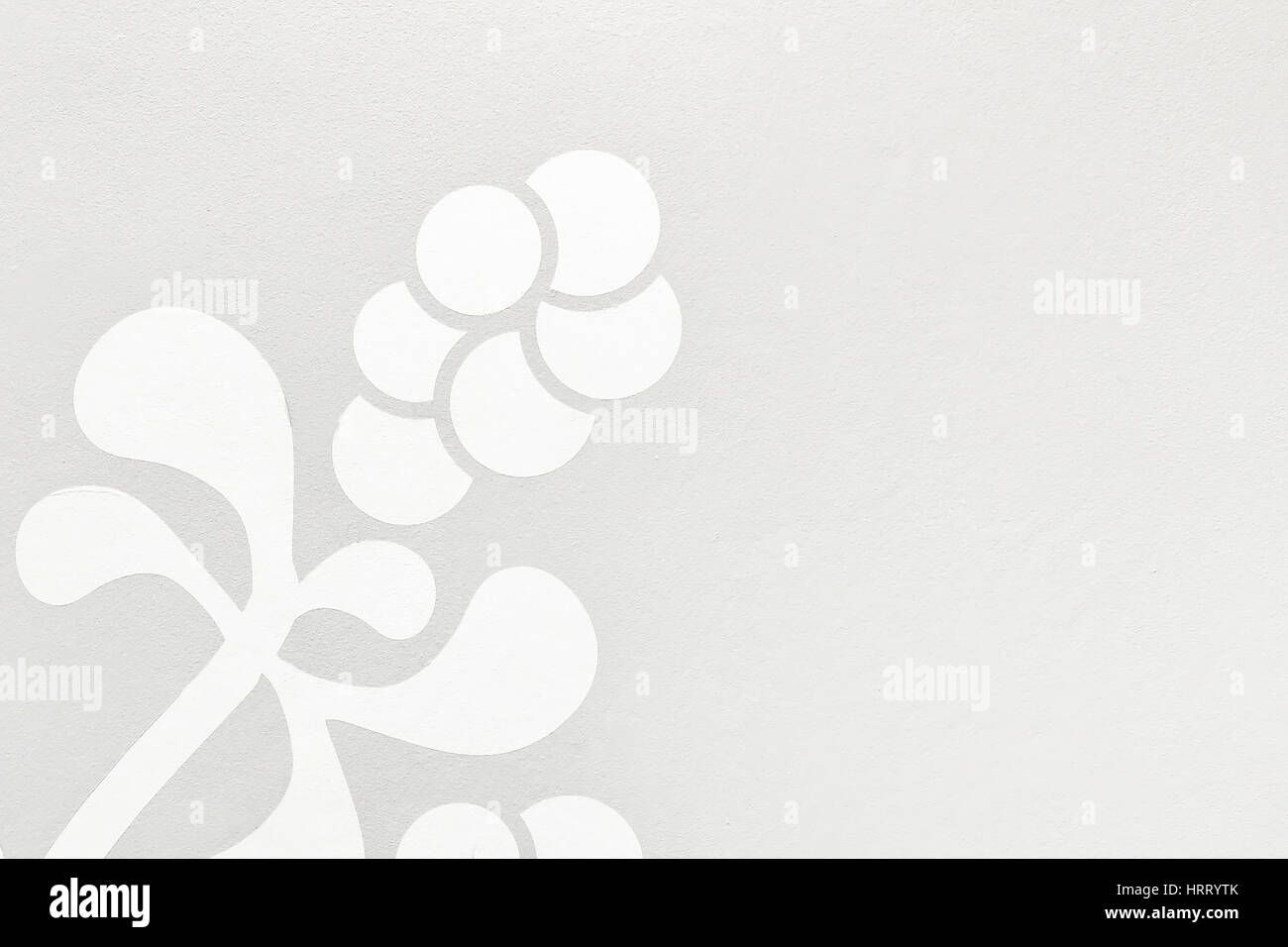 La texture de fleur blanche sur fond gris clair Banque D'Images
