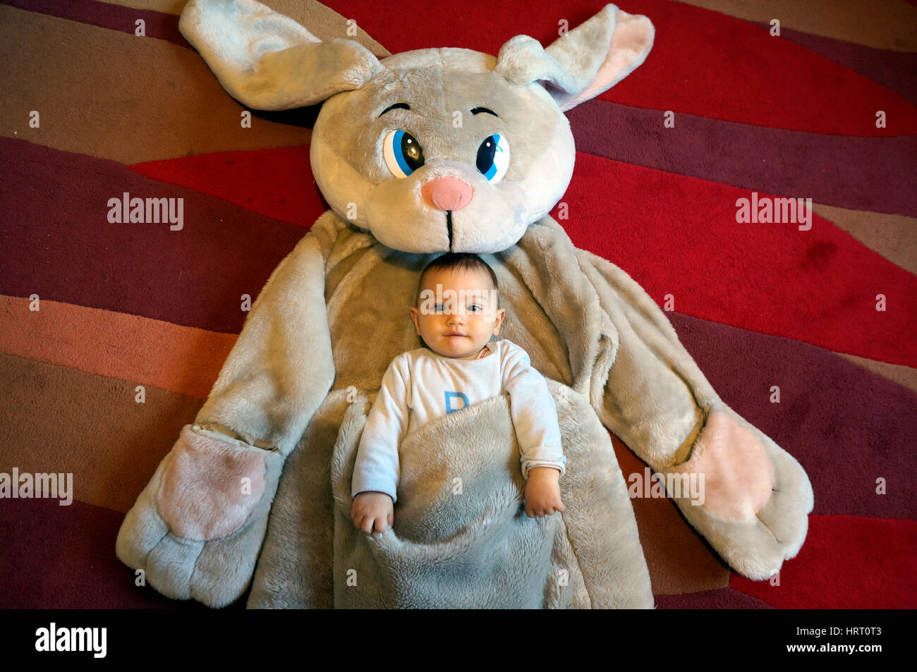 Bébé garçon à l'intérieur d'un grand lapin peluche Banque D'Images