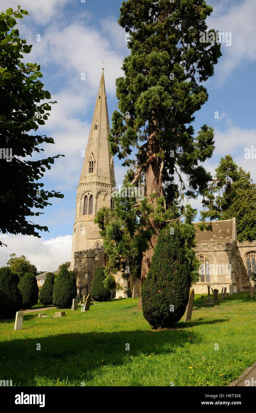 L'église St Laurence, Stanwick, Northamptonshire, a des parties datant du xiiie siècle. La spire est 'usuallly considéré par les experts comme le mo Banque D'Images