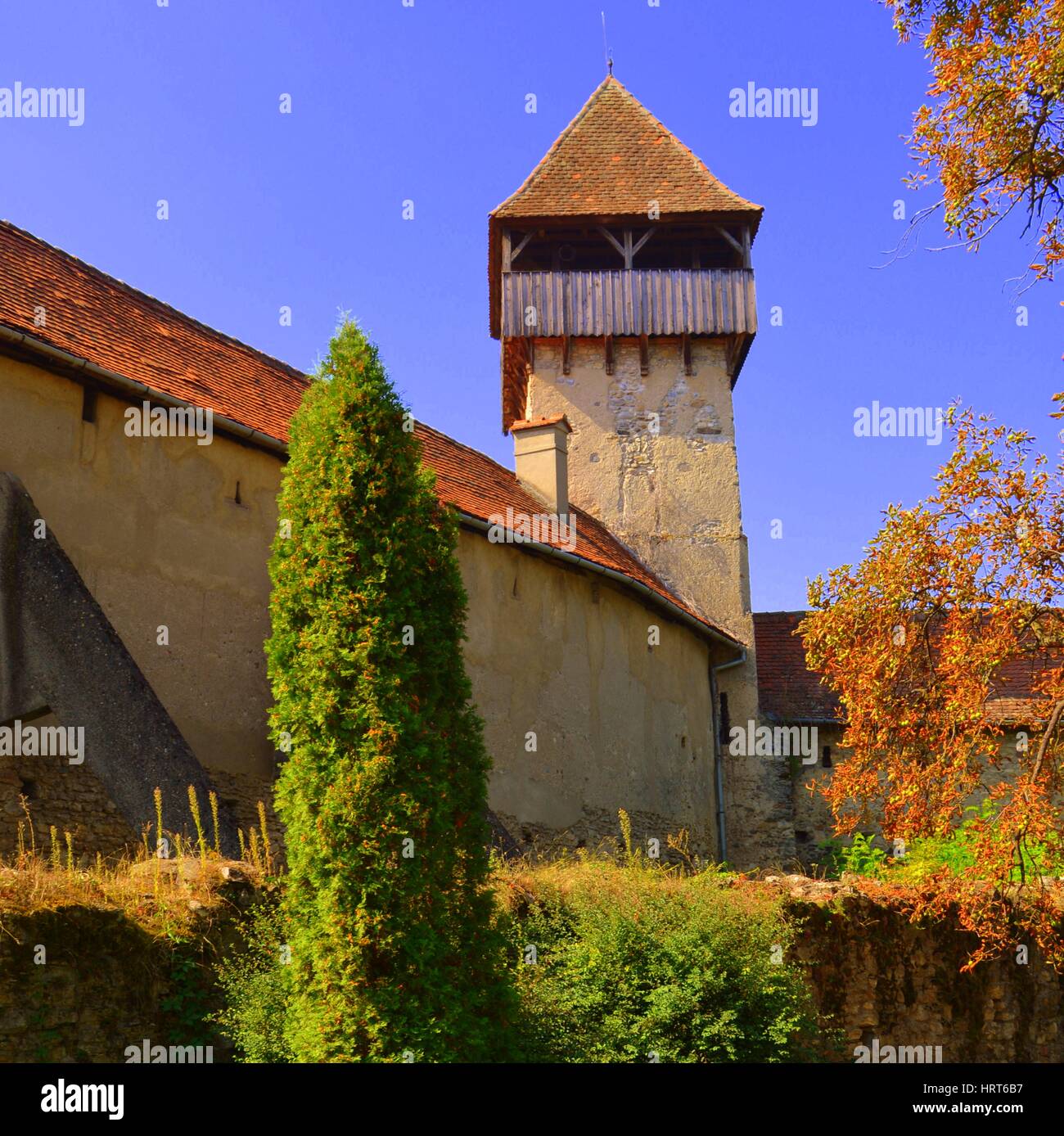 Cour intérieure de l'église saxonne fortifiée médiévale dans la région de Tulcea, Transylvanie, est connu pour son château, qui est sur la liste du patrimoine mondial. Banque D'Images