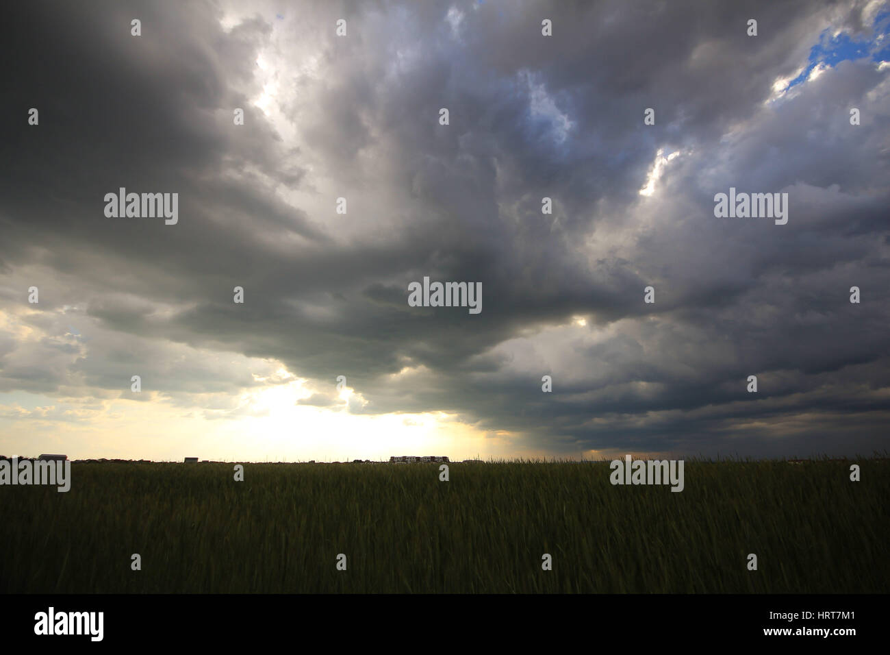 Photo d'un faisceau de lumière provenant des nuages au-dessus d'un champ de blé Banque D'Images
