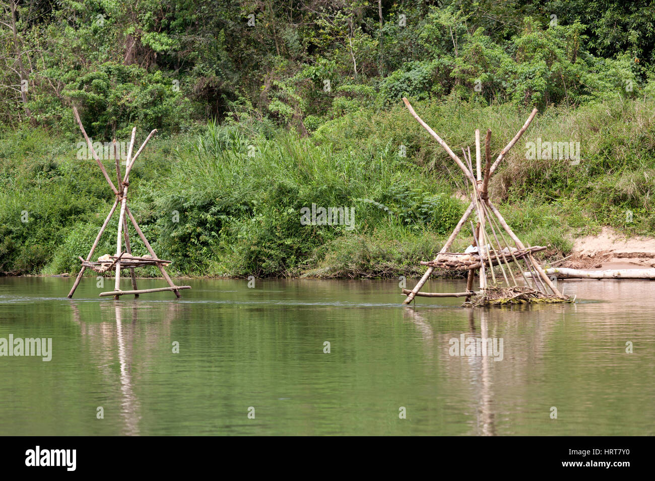 Une structure de la direction générale pour un poisson sur le fleuve Nam Ou (or), un affluent du Mékong (Laos). Branches de la structure faite pour un piège à poissons. Banque D'Images