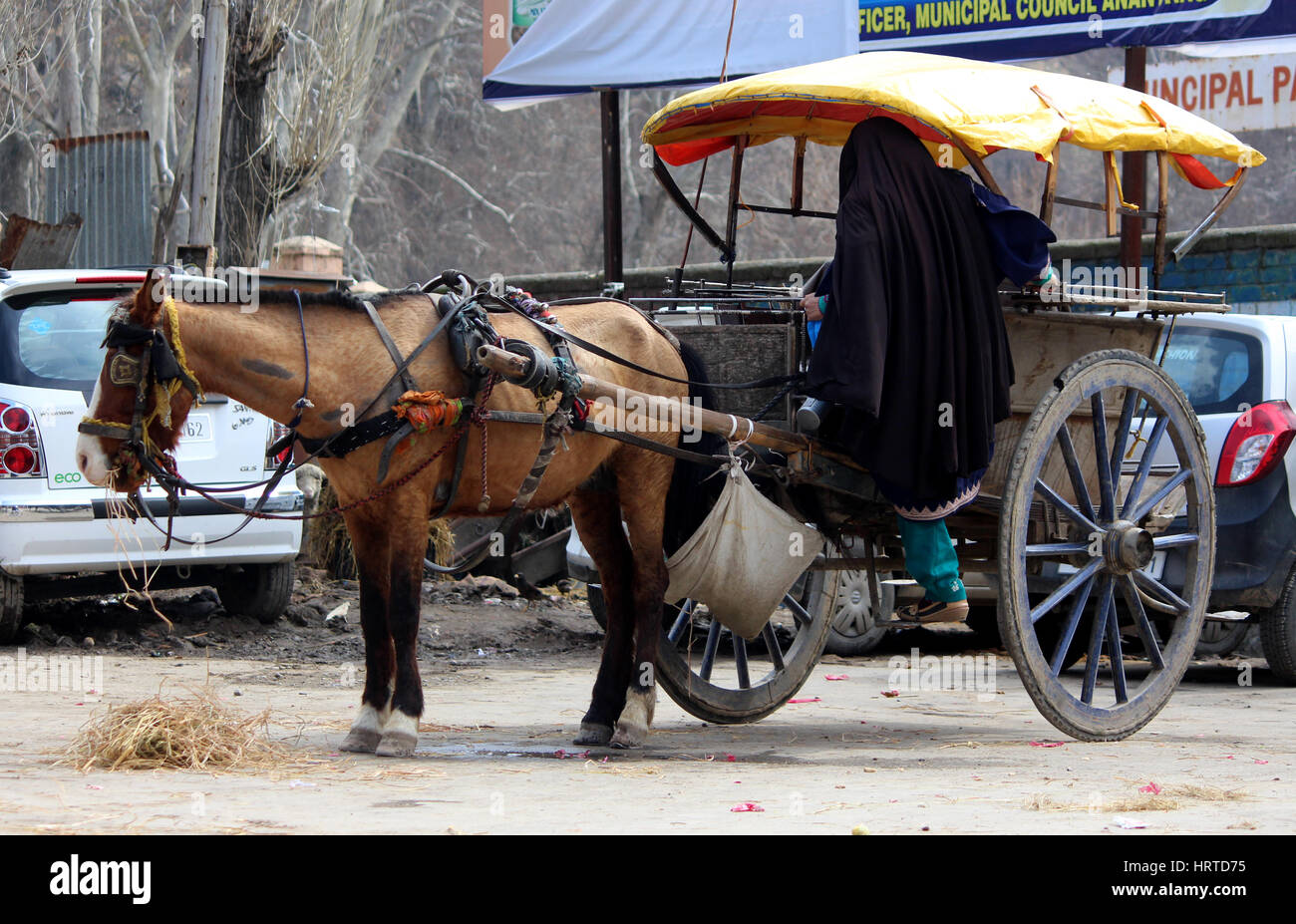 Un Tonga ou tanga est un chariot léger ou curricle dessiné par l utilisé  pour le transport dans le Cachemire occupé. Ils ont un couvert au-dessus de  la porte avec une seule