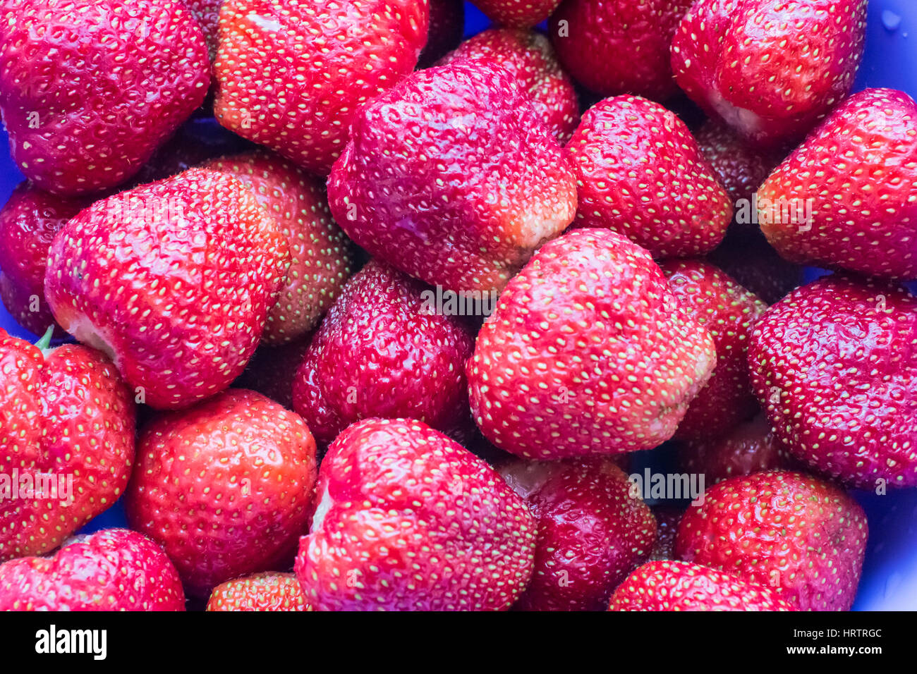 Les baies fraîches fraises rouge juteuse avec de l'eau tombe sur la plaque fermer Banque D'Images