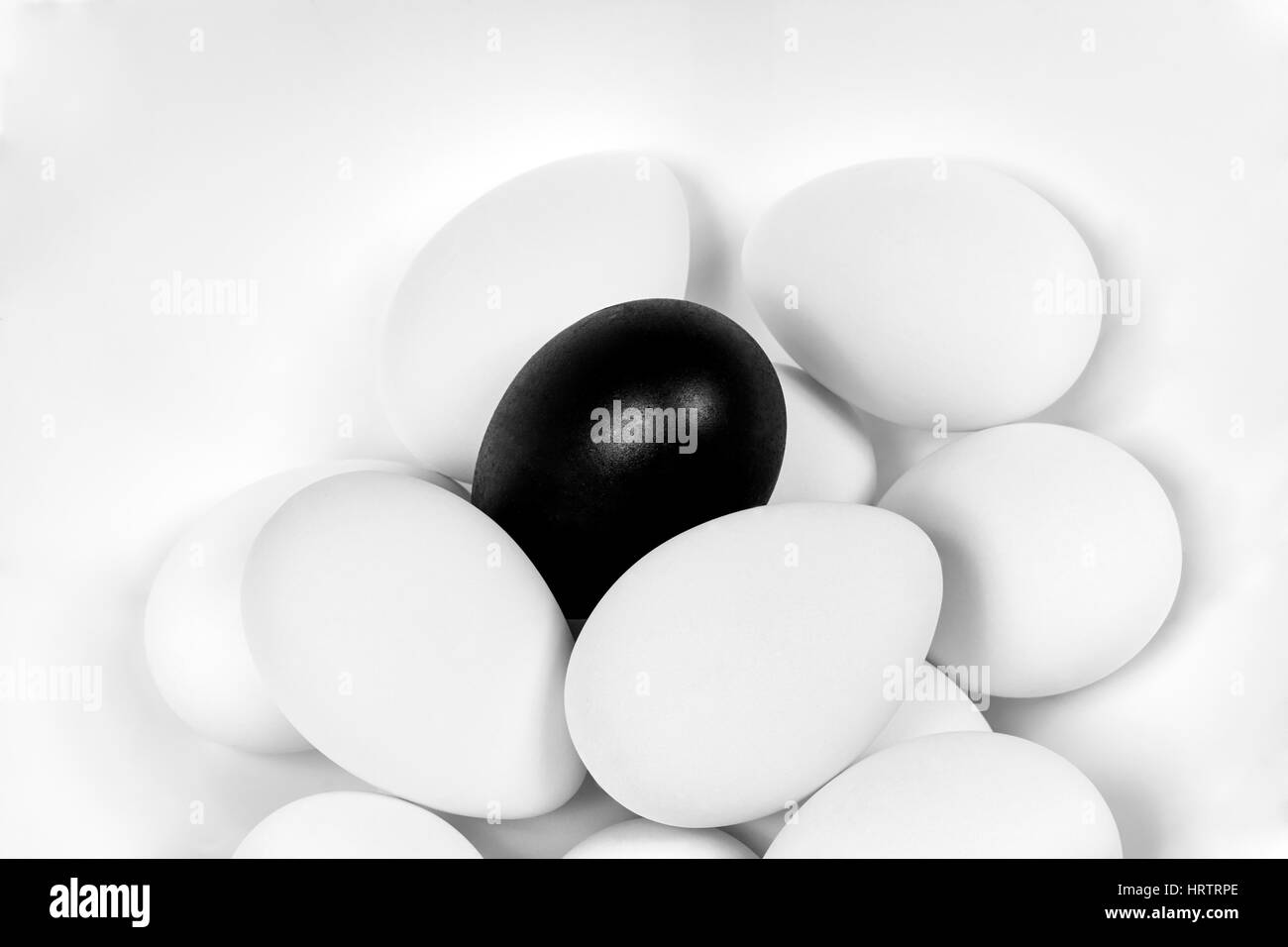 Oeufs blancs en tas avec un œuf noir sur le dessus Banque D'Images