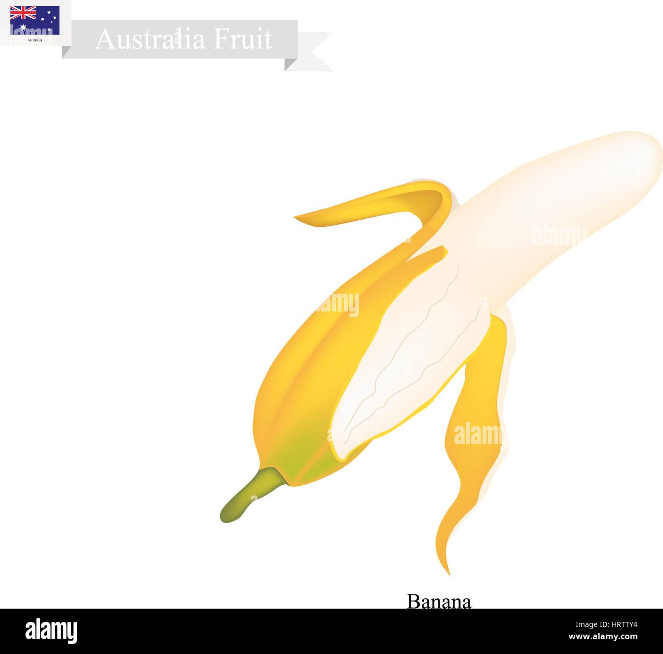Fruit de l'Australie, de l'illustration de Golden Banana. L'un des fruits les plus populaires en Australie. Illustration de Vecteur