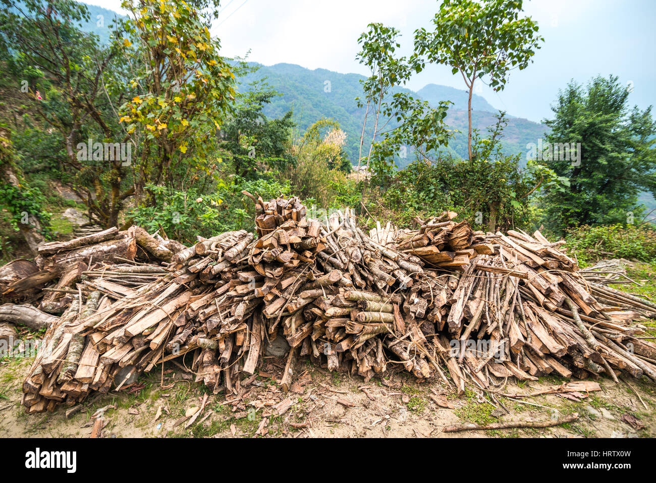 Cheminée de bois de chauffage dans la campagne de Kaski, Gandaki, Népal Banque D'Images