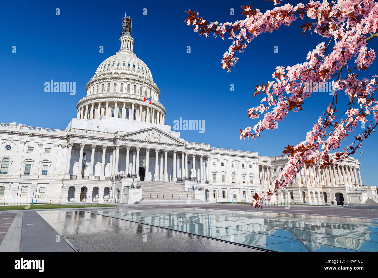 Capitole plus de ciel bleu avec blooming cherry sur foregraund Banque D'Images