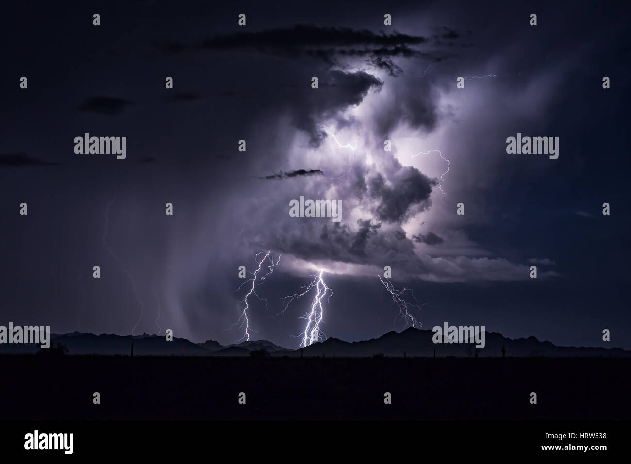 Éclairs frappant d'une tempête dans le désert près de Quartzite, Arizona Banque D'Images