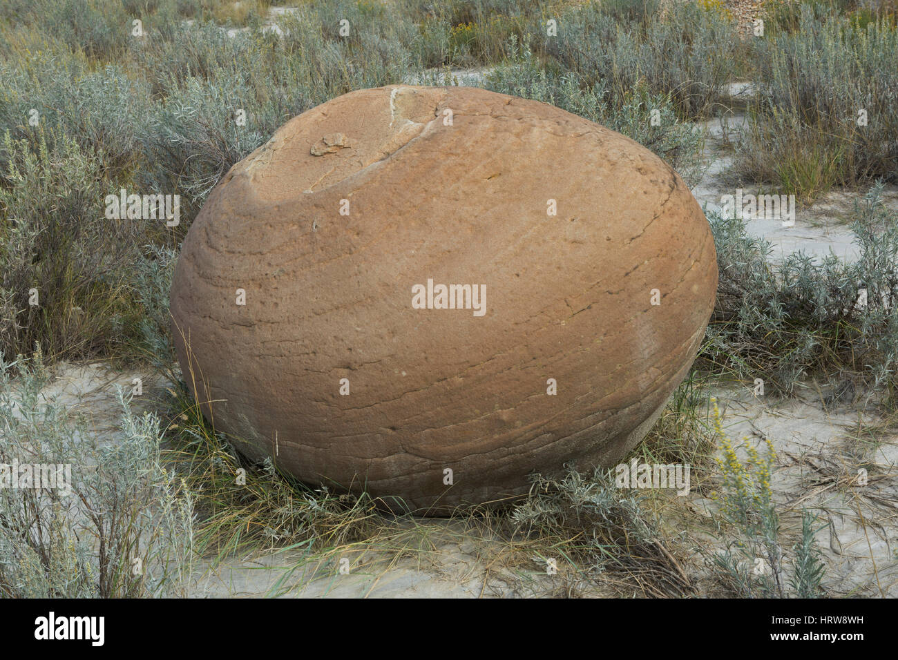 Boulet de concrétions, Parc National Theodore Roosevelt, ND, USA Banque D'Images