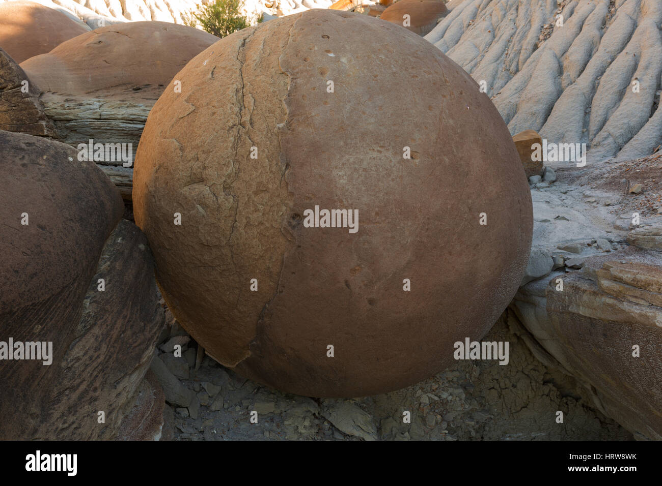 Boulet de concrétions, Parc National Theodore Roosevelt, ND, USA Banque D'Images