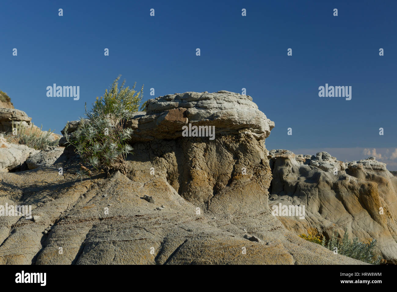 Cap rock, Parc National Theodore Roosevelt, ND, USA Banque D'Images