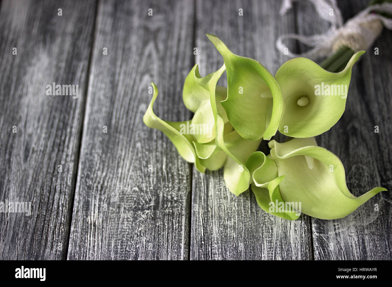 Bouquet de lis calla jaune vert gris sur fond de bois Banque D'Images