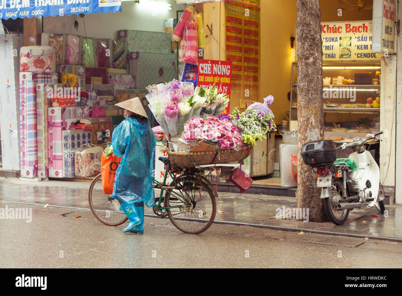 Hanoi, Vietnam - 3 mars : vendeuse de fleurs avec vélo sur les rues de Hanoi, 3 mars 2014. Banque D'Images