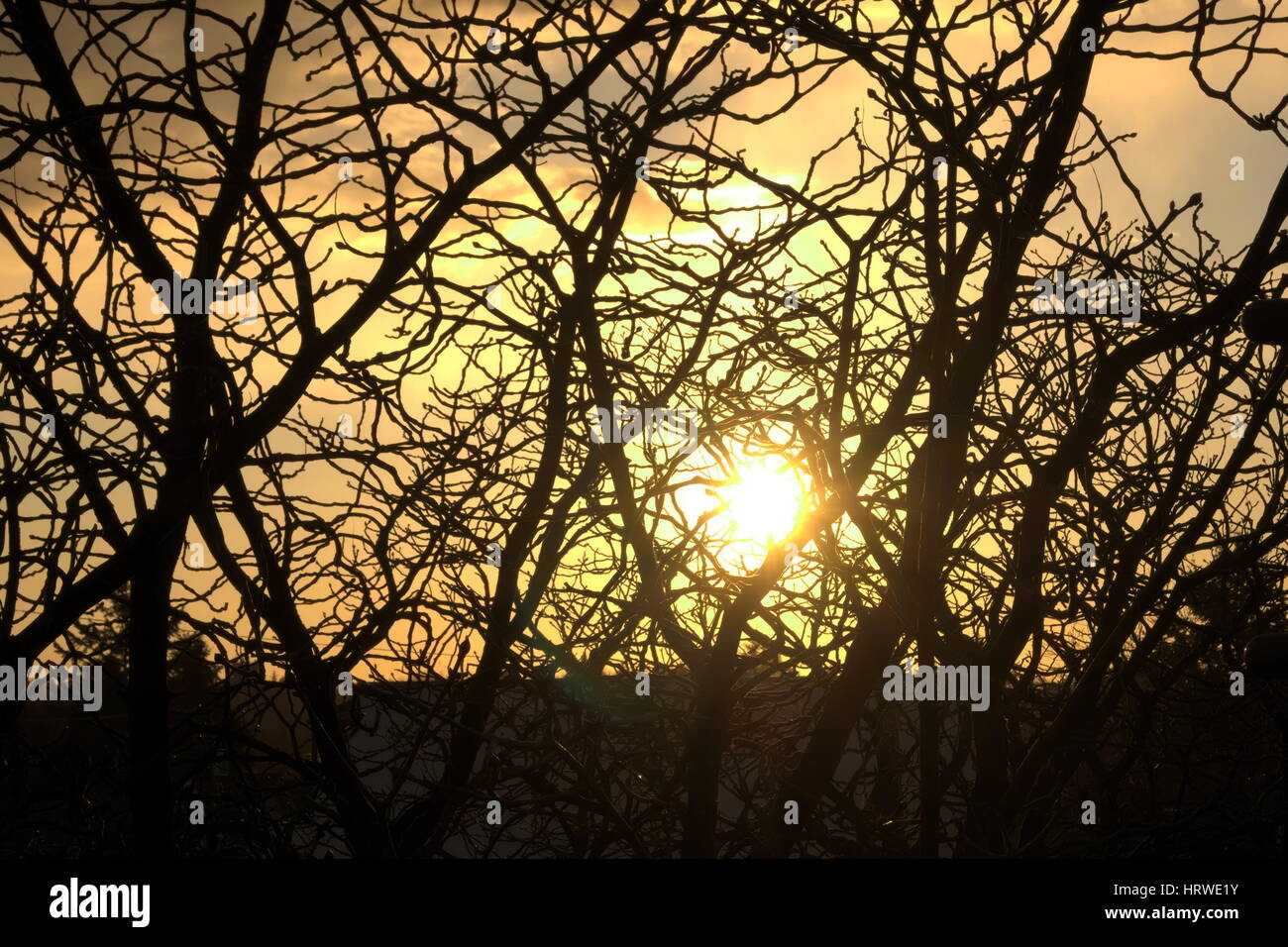 À partir de la gare de skytrain. commercial drive / East Broadway. Banque D'Images