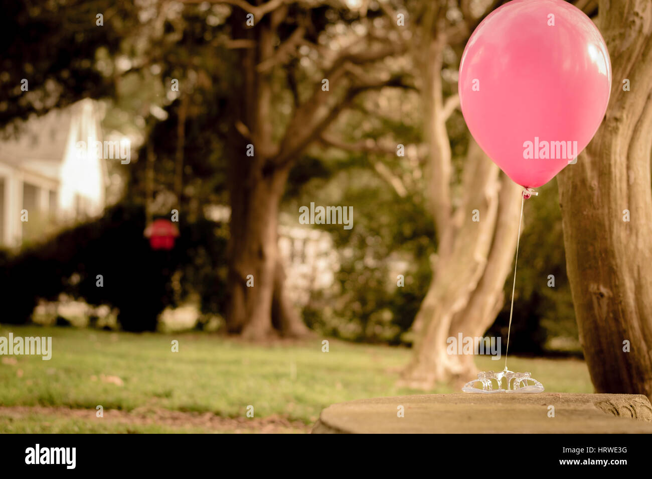 L'révèlent (fille) Banque D'Images