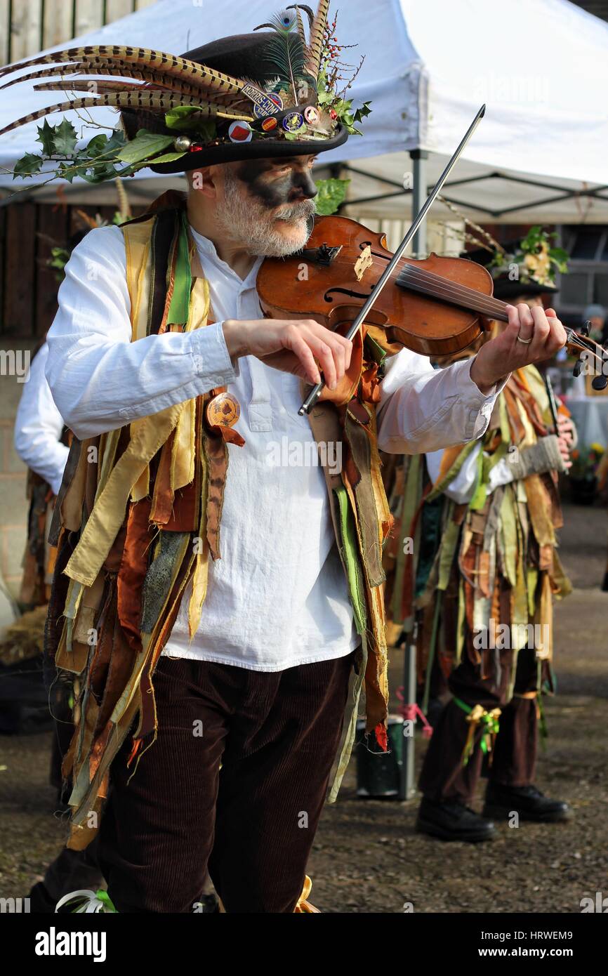 Danseurs Morris de Domesday, Morris Dancers, l'homme au violon Banque D'Images