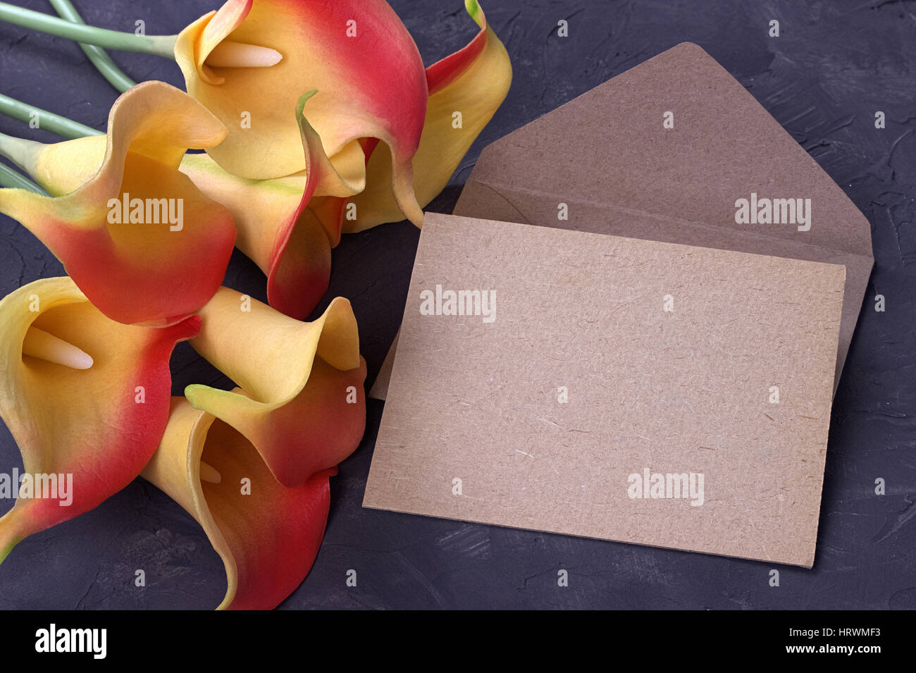 Le rouge et le jaune des fleurs de lis calla avec enveloppe sur plâtre fond gris. Copy space Banque D'Images