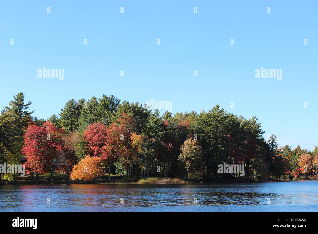 Feuillage d'automne, Nouvelle Angleterre USA Banque D'Images