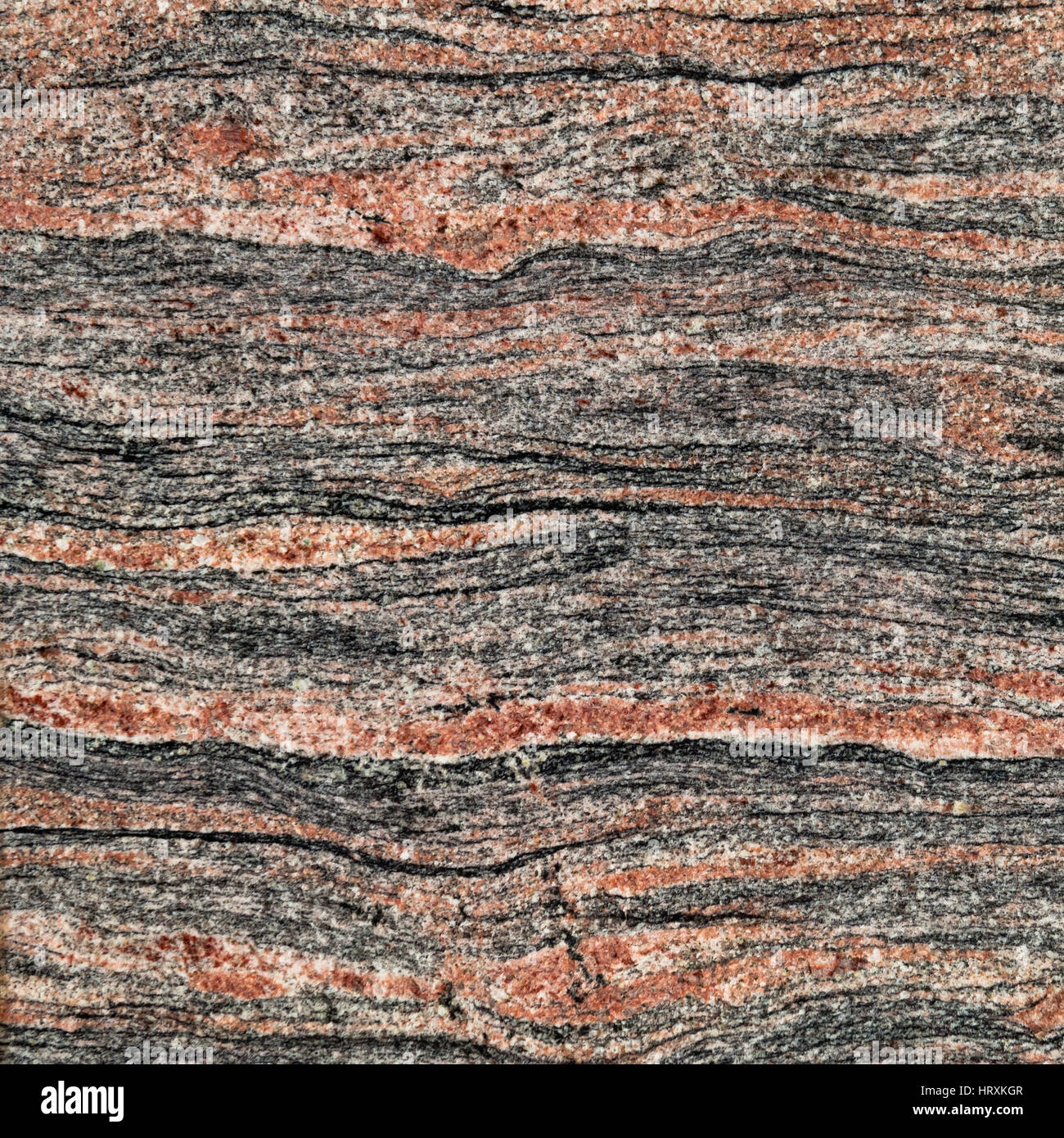 Roche Metamorphique En 6 Lettres Roche métamorphique ou magmatique poli coupe transversale en arrière