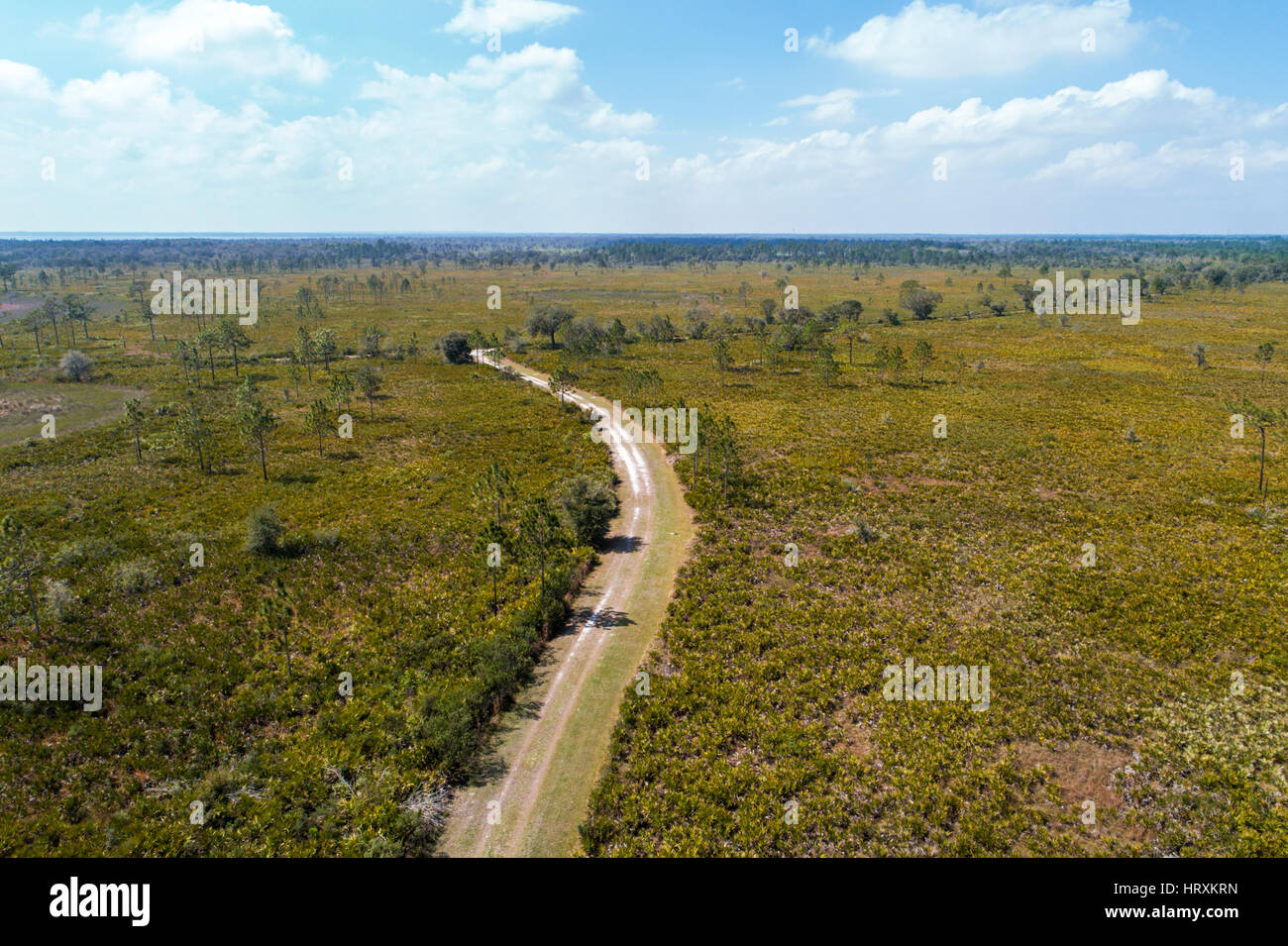 Lac de Galles Floride,SUMICA,Central Florida sentier de randonnée, prairie, pavillon aérien de la vue ci-dessus, les visiteurs voyage voyage visite touristique site touristique Banque D'Images