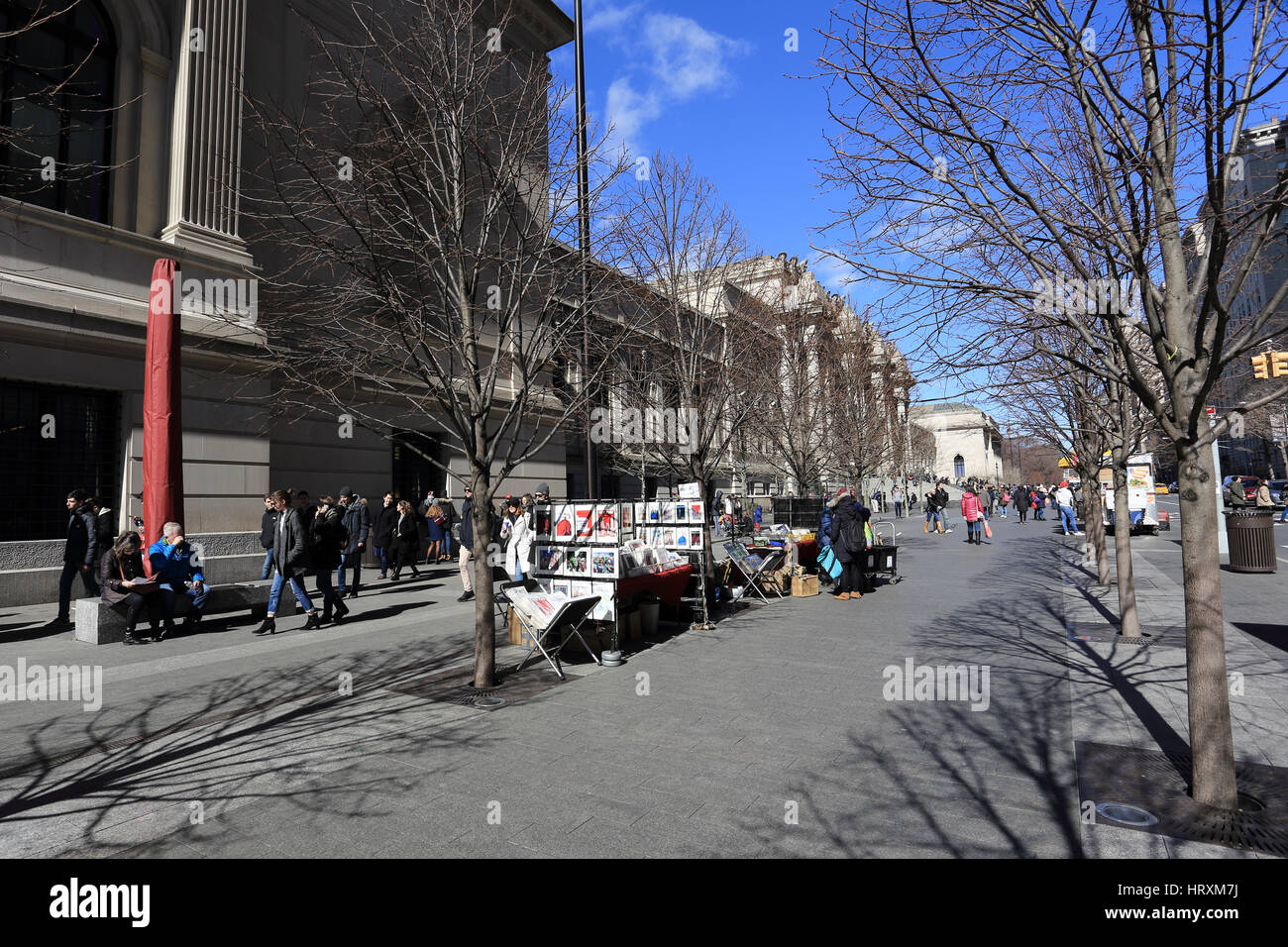 Metropolitan Museum of Art 5th Avenue New York City Banque D'Images