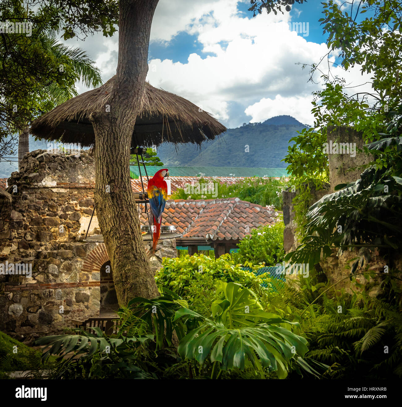 Dans les ruines du couvent de l'Ara coloniale avec des montagnes - Antigua, Guatemala Banque D'Images
