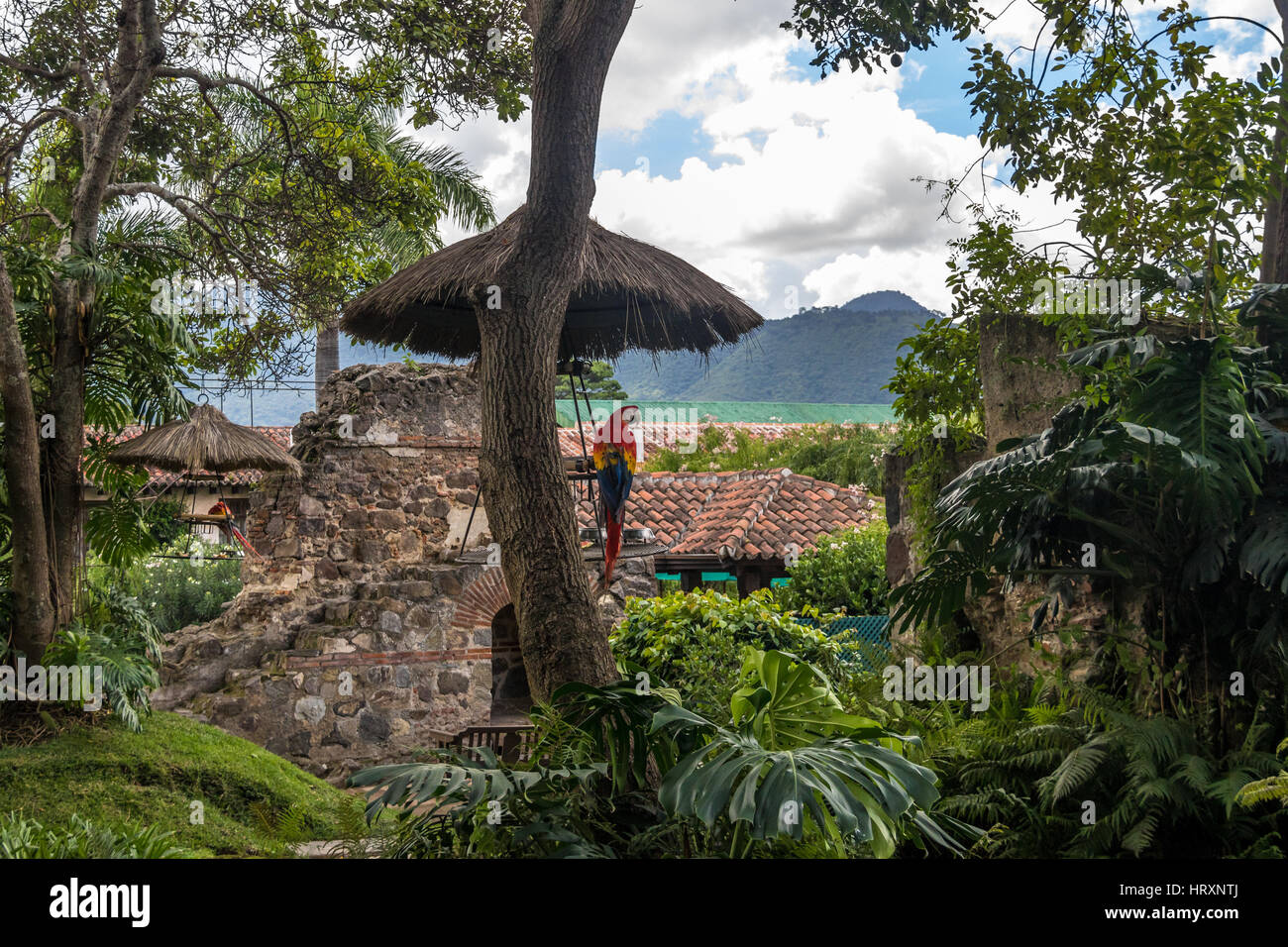 Dans les ruines du couvent de l'Ara coloniale avec des montagnes - Antigua, Guatemala Banque D'Images