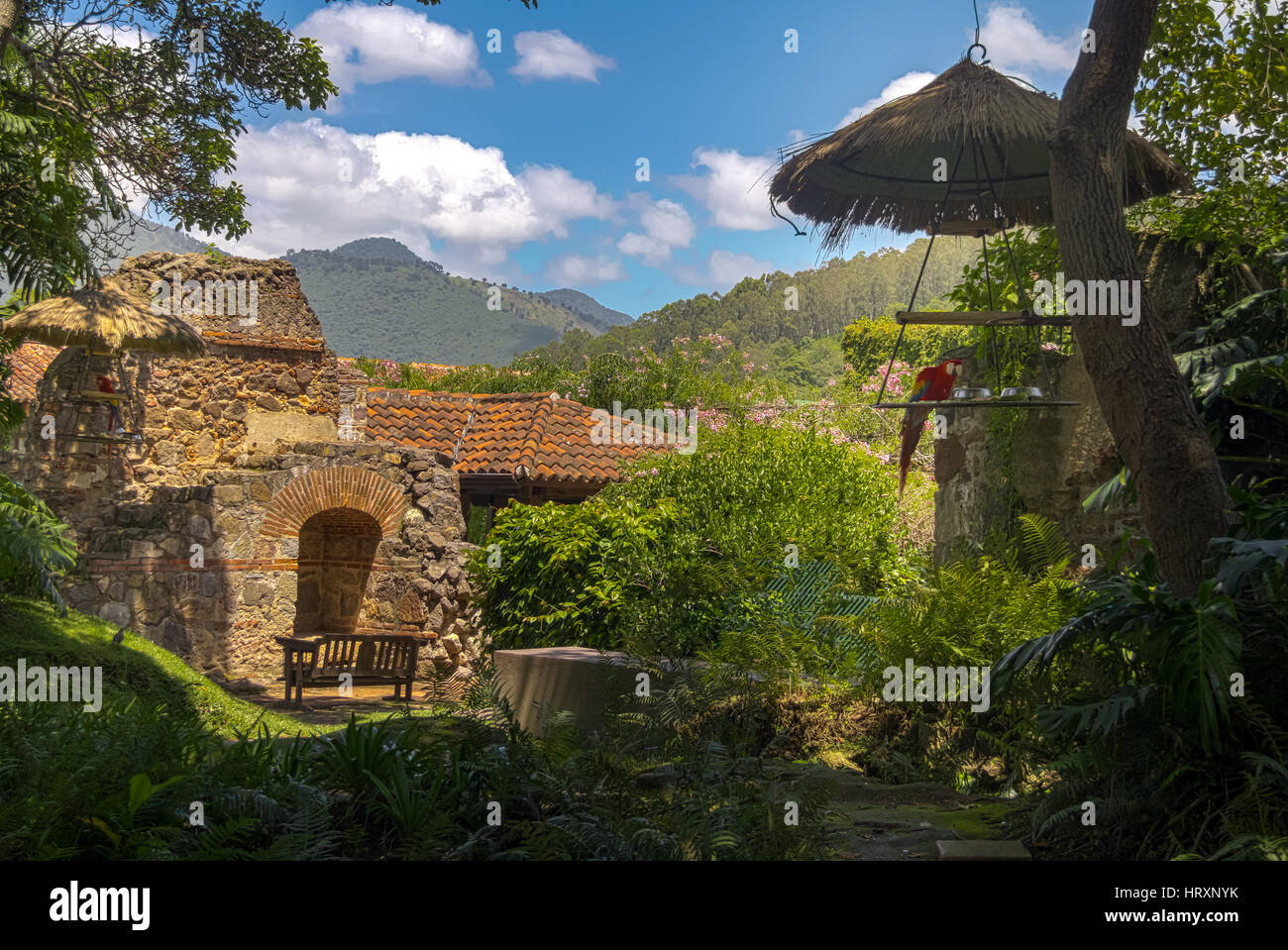 Dans les ruines du couvent de l'Ara coloniale avec des montagnes - Antigua, Guatemala Banque D'Images