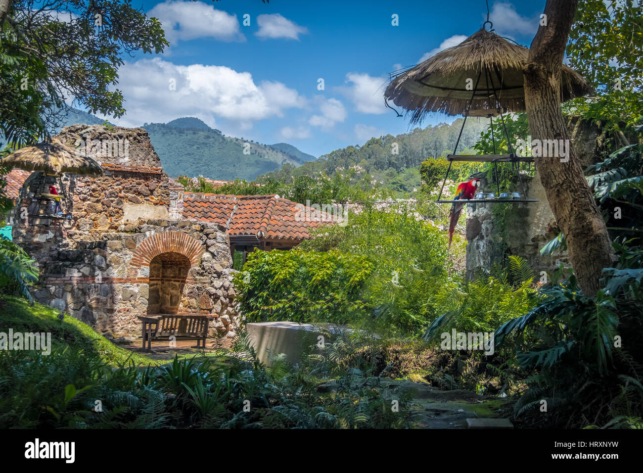 Dans les ruines du couvent de l'Ara coloniale avec des montagnes - Antigua, Guatemala Banque D'Images