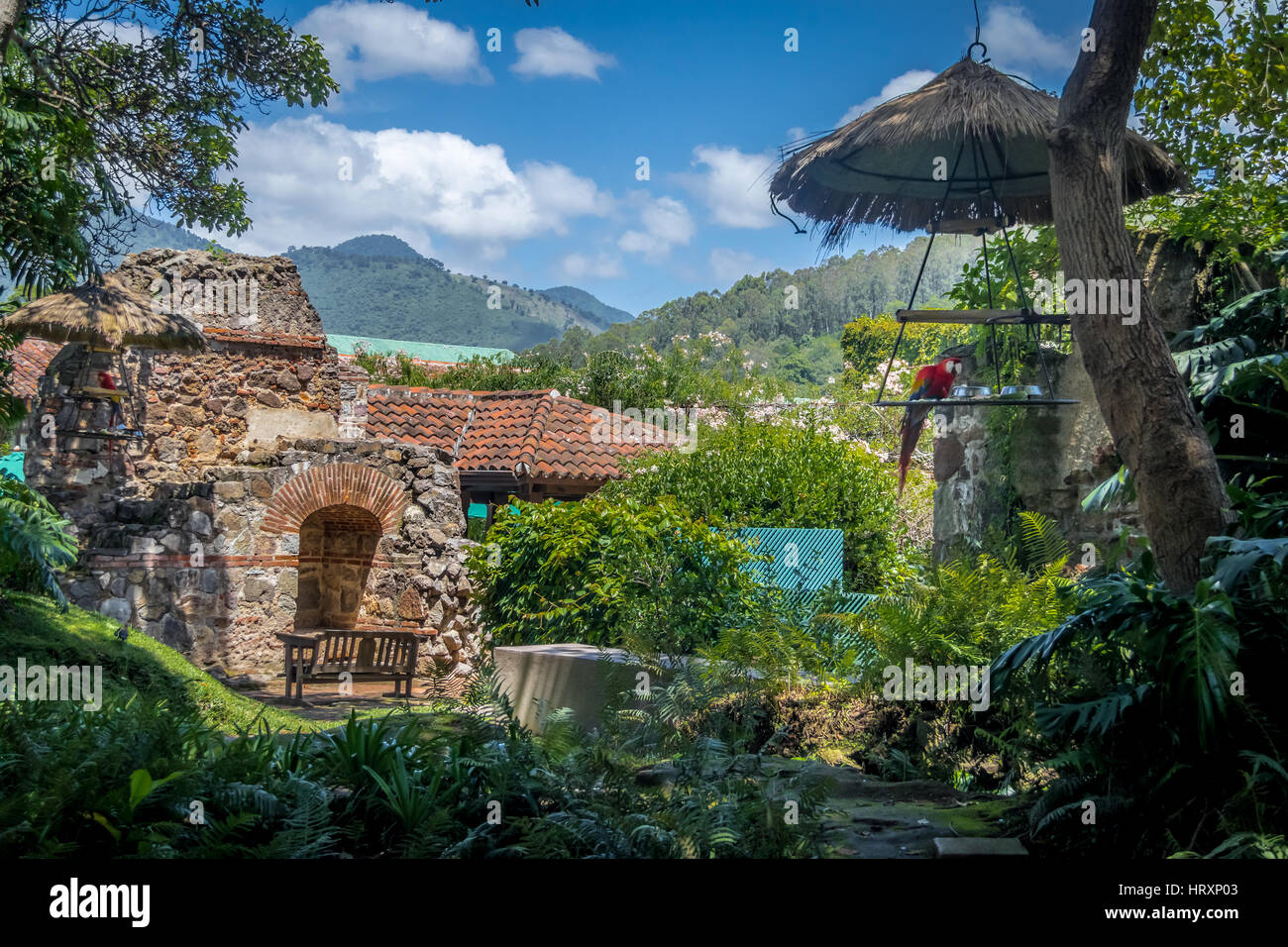 Dans les ruines du couvent de l'Ara coloniale avec des montagnes - Antigua, Guatemala Banque D'Images