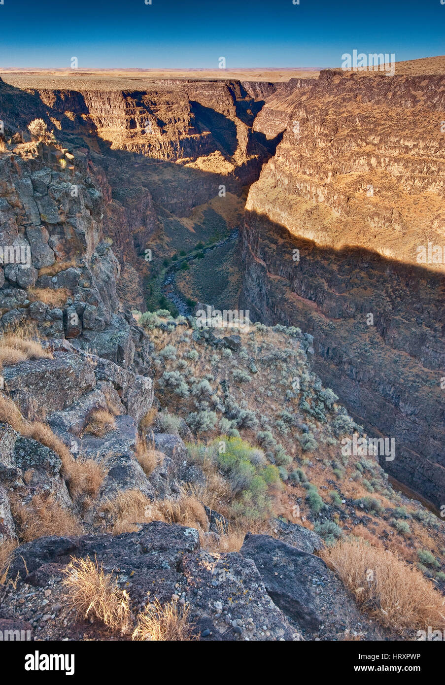 Bruneau River Canyon en haute région désertique, California, USA Banque D'Images
