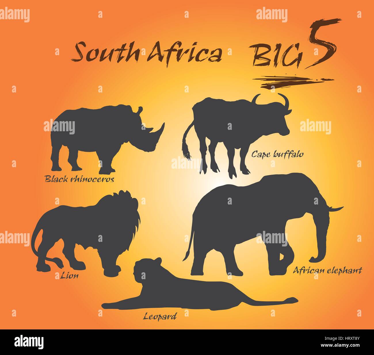 En Afrique, les cinq grands animaux sont le lion d'Afrique, l'éléphant africain, buffle, léopard, rhinocéros et de l'Afrique. Illustration de Vecteur