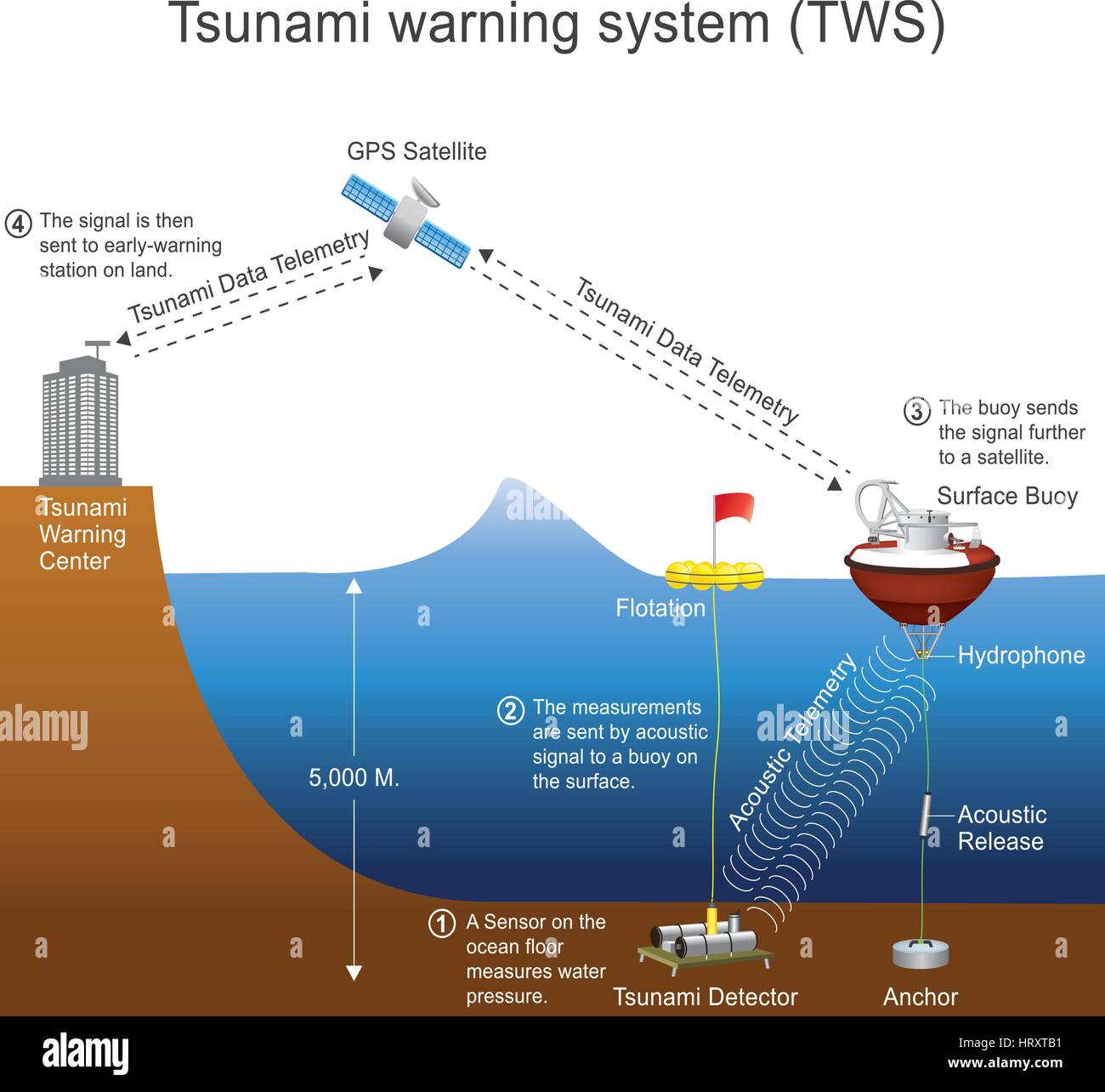 Un système d'alerte au tsunami (SSC) est utilisé pour détecter les tsunamis à l'avance et émettre des avertissements pour éviter les pertes de vie et les dommages. Il est composé de deux Illustration de Vecteur