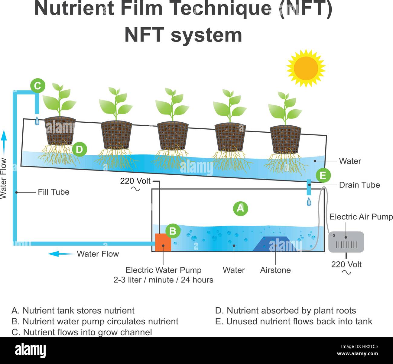 Technique du film des éléments nutritifs (NFT) est une technique hydroponique où un courant d'eau très peu profonde contenant tous les éléments nutritifs dissous nécessaires à pla Illustration de Vecteur