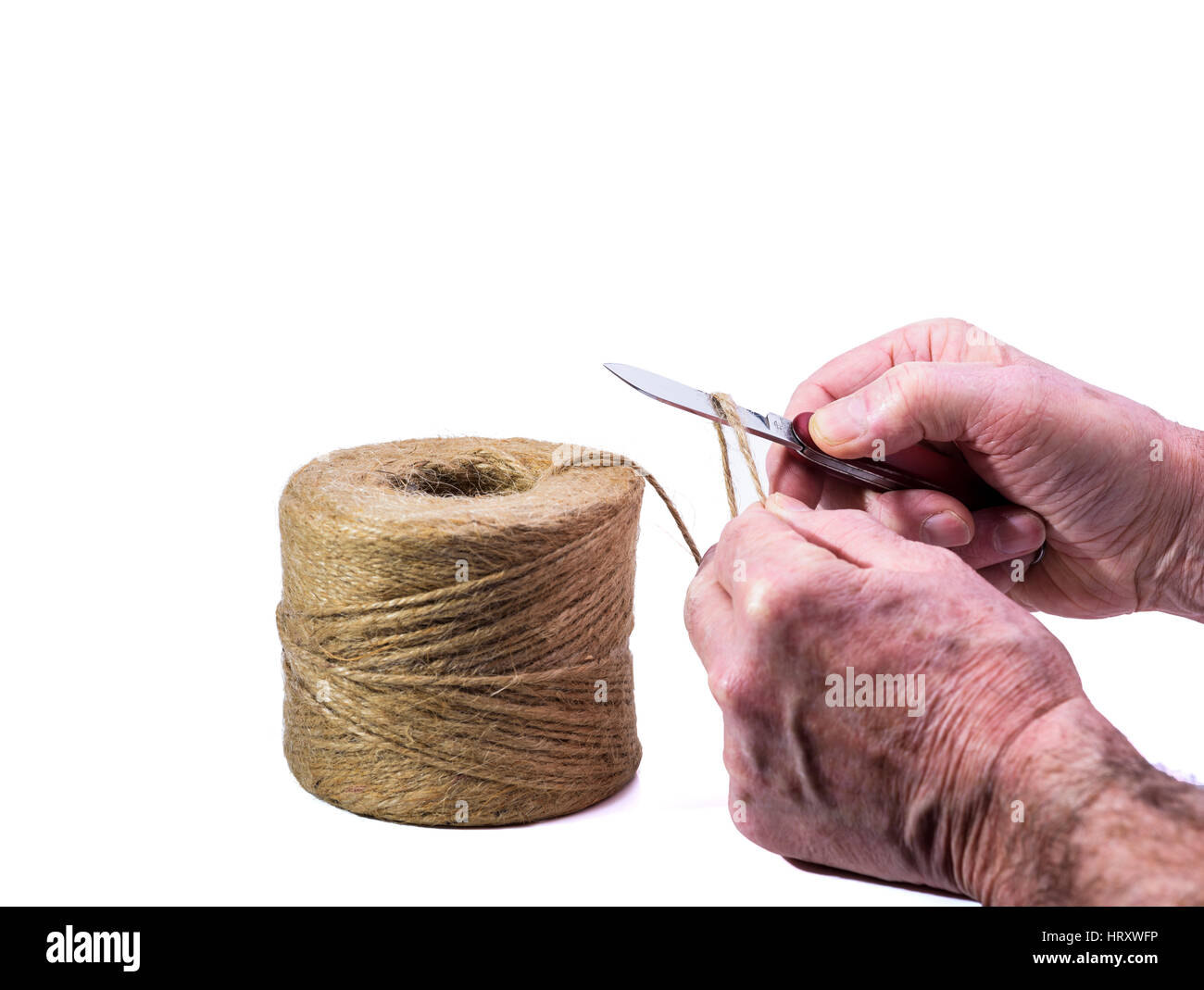 Coupe homme à une longueur de ficelle string.Jardin d'être coupé avec un couteau. Jardin concept. Banque D'Images