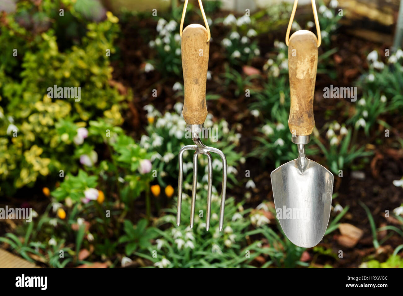 La fourche et truelle suspendu avec fleurs de printemps derrière. Banque D'Images