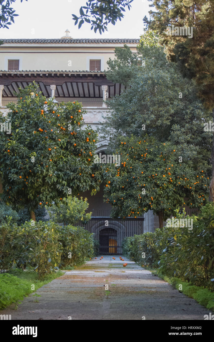 Une cour du primat de la cathédrale Sainte Marie de Tolède avec un jardin d'orangers, des barrières et un sentier, Castille la Manche, Espagne. Banque D'Images