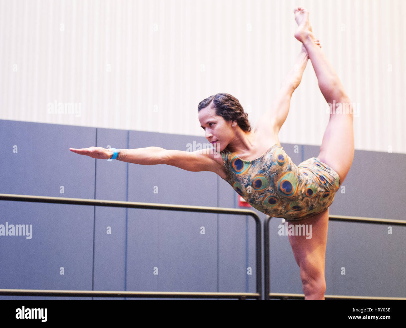 4 mars 2017 : à la concurrence du Yogi Arnold Festival sportif. Columbus, Ohio, USA. Brent Clark/Alamy Live News Banque D'Images