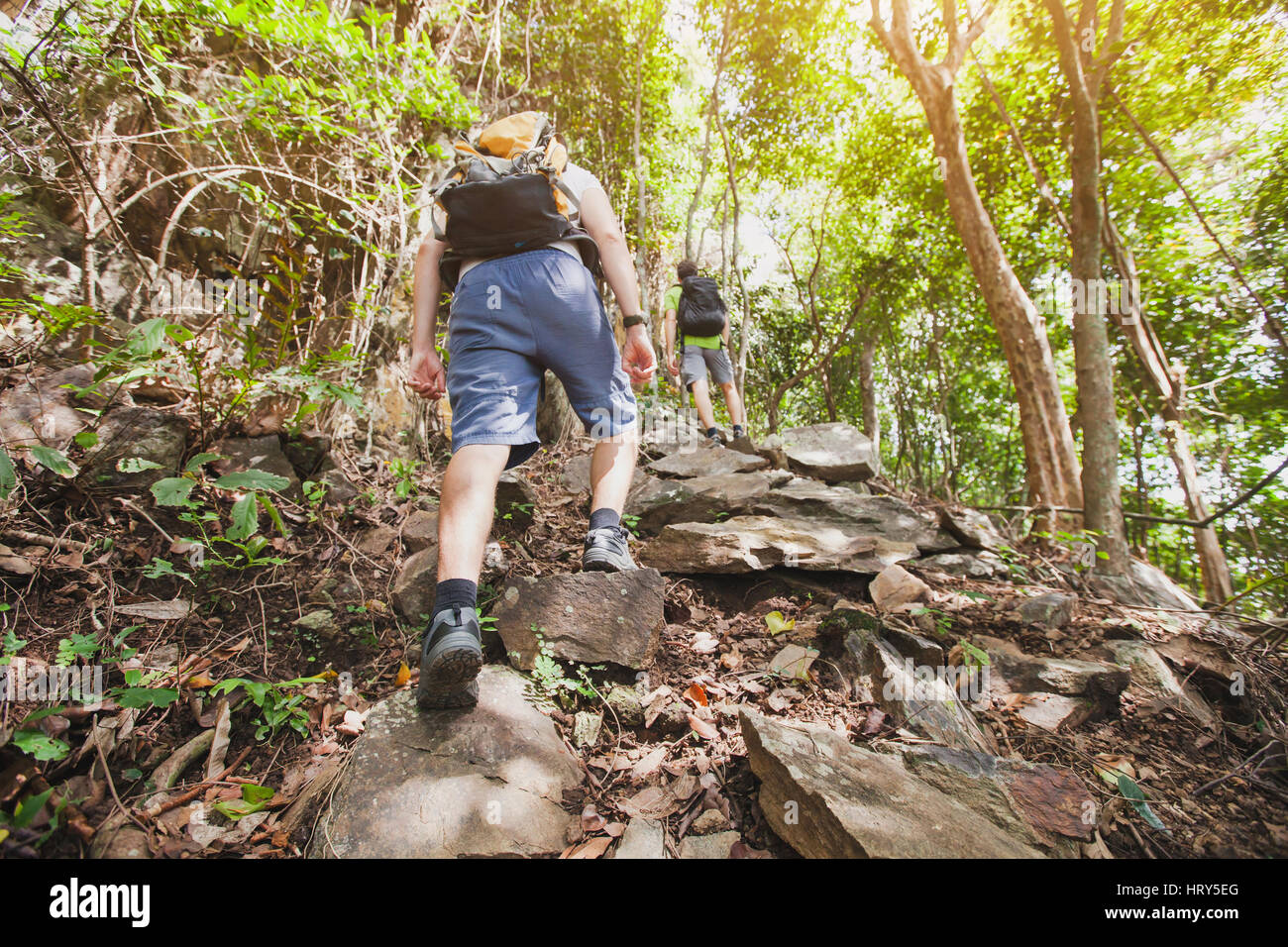 Concept d'endurance, groupe de randonneurs de grimper dans la forêt Banque D'Images