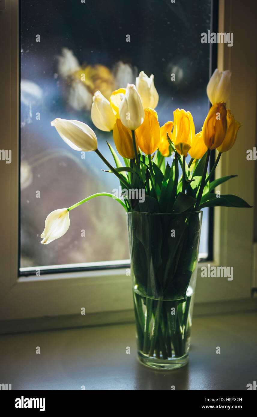 Bouquet de tulipes debout à la fenêtre sur un jour ensoleillé. Banque D'Images Bouquet de tulipes debout à la fenêtre sur un jour ensoleillé. Banque D'Images