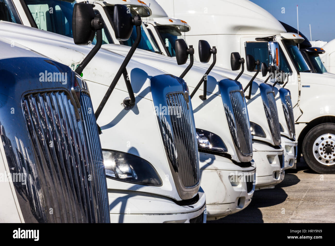 Indianapolis - Circa Novembre 2016 : Navistar International Tracteur semi camions remorque alignés pour vente II Banque D'Images